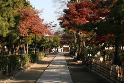 早朝の建仁寺境内