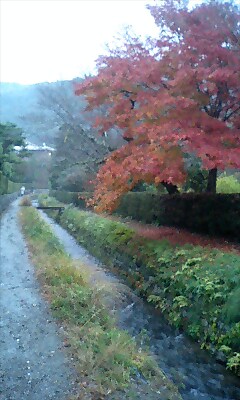 美術館横の散歩道