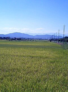 乗り換えたバス停からの風景