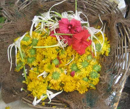 御供えの花_ヒンドゥー寺院にて