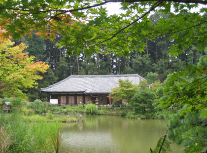 池からのぞむ阿弥陀堂_浄瑠璃寺