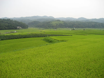 美しき国　日本