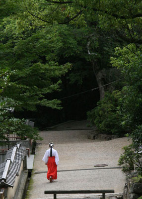 巫女さんの袴の朱色があざやかだ