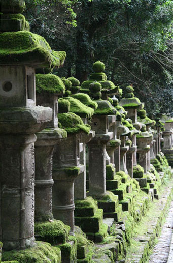 参道にならぶ苔むした石灯篭