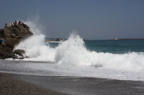 桂浜にて