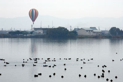 内湖には水鳥も沢山