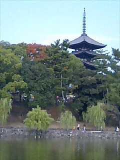 猿沢の池からみた五重の塔