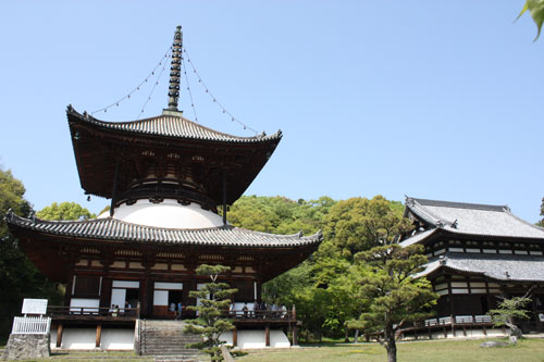 根来寺　大塔と伝法堂