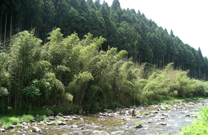 長瀬の川