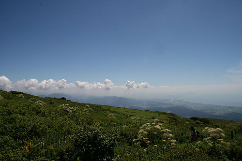 伊吹山頂　夏雲が広がる