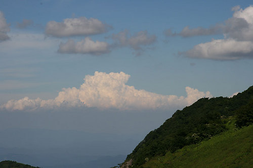 夏雲