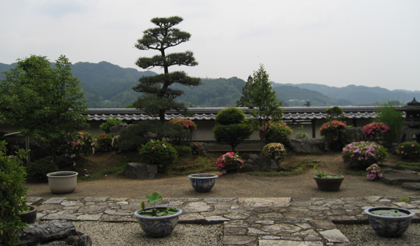 彼方の山を借景