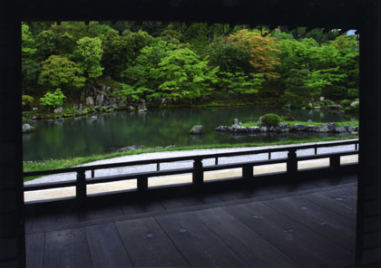 夏の天龍寺