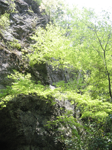 修験信仰の山