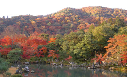 天龍寺の紅葉