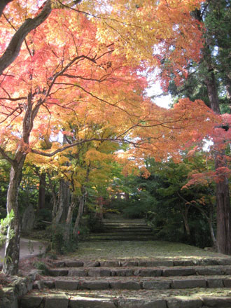 正法寺参道