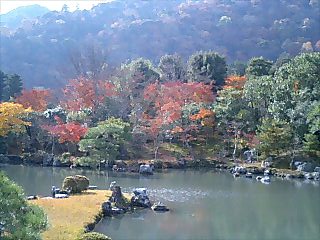 紅葉に染まる曹源池庭園