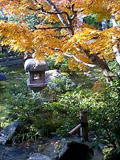 天龍寺の茶室、祥雲閣から見た庭