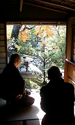 甘雨亭より庭を拝見