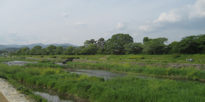 新緑の京都へご一緒に！