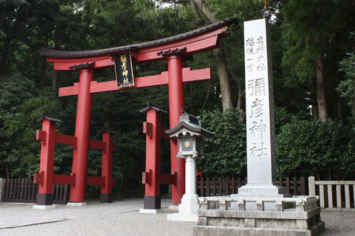 弥彦神社の鳥居