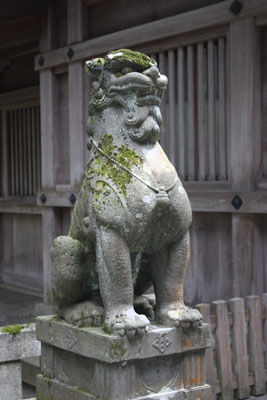 苔むした狛犬